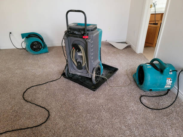 Best Fire Damage Restoration  in Lepanto, AR