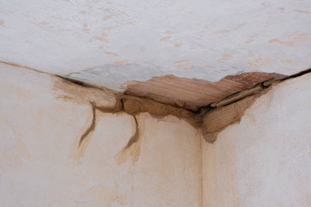 Best Basement water damage restoration  in Lepanto, AR