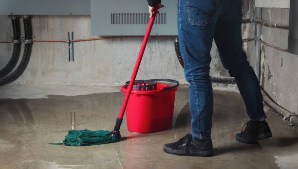 Best Sewage cleanup and water damage restoration  in Lepanto, AR