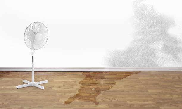 Local water damage restoration in Lepanto, AR