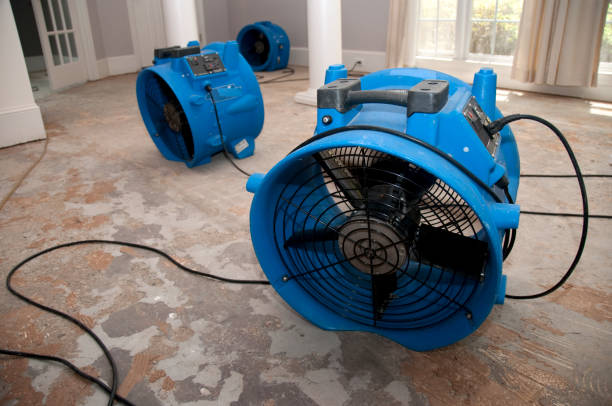  Lepanto, AR Water damage restoration Pros