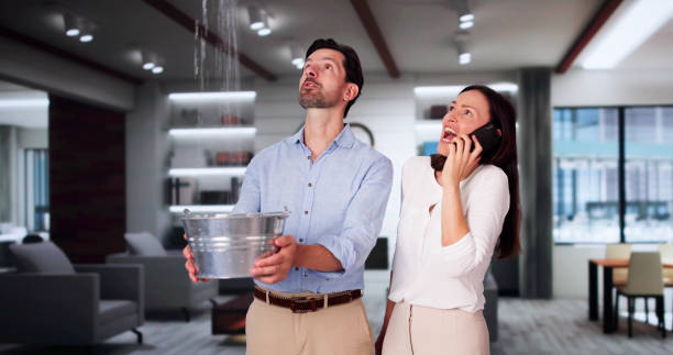 Best Local water damage restoration  in Lepanto, AR